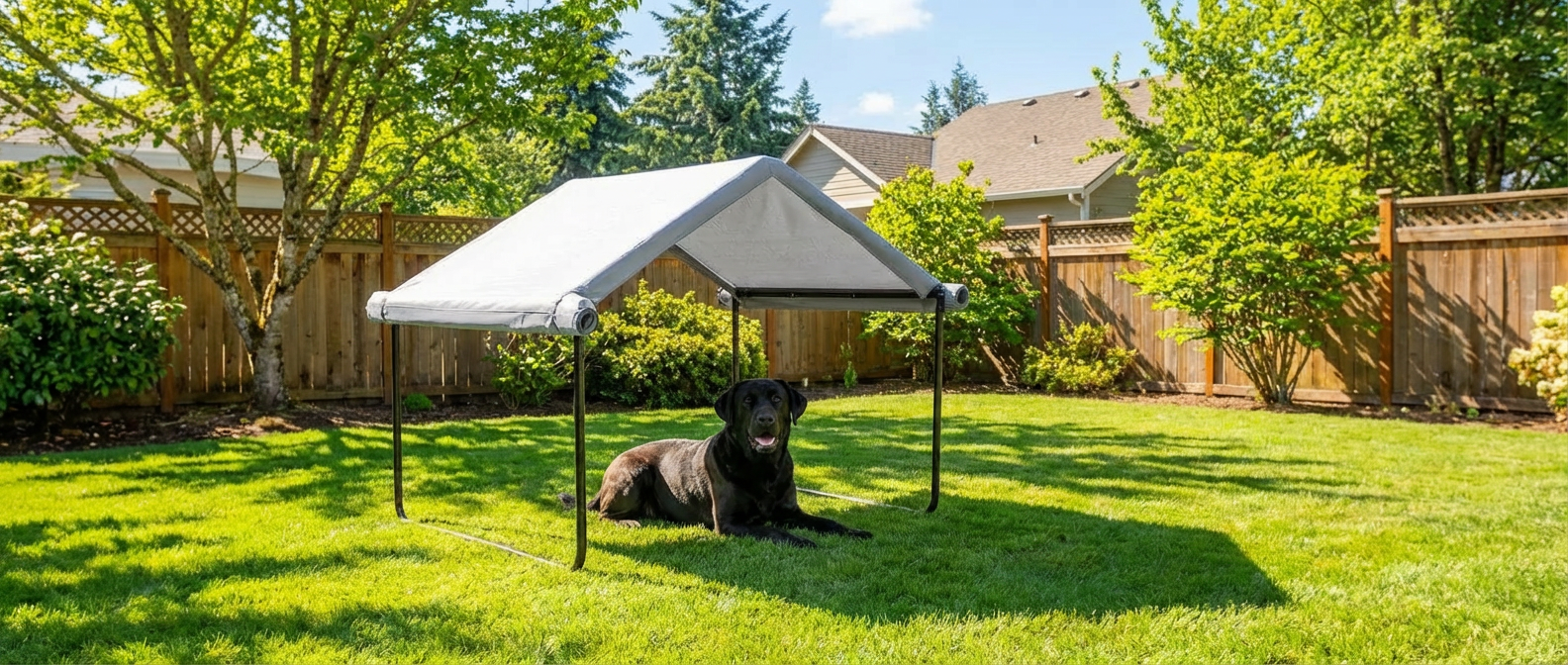 All-Season Dog Canopy — Open canopy